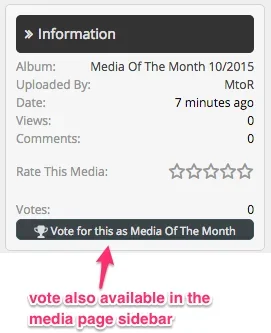 vote_in_media.webp