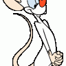chulapi