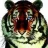 Black Tiger