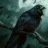 Raven